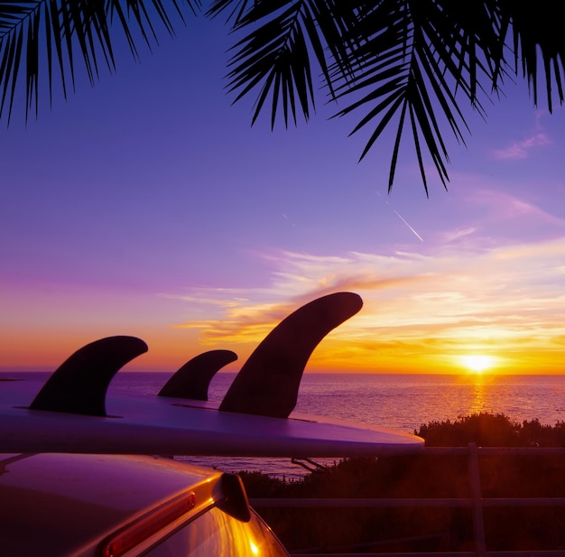 Auto con tavola da surf in riva al tramonto Silhouette nera di un ramo di palma