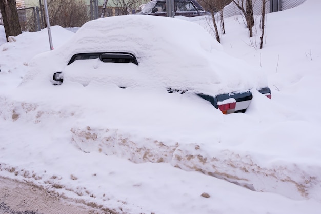 Auto coperte di neve bianca fresca, auto coperte di neve dopo una bufera di neve