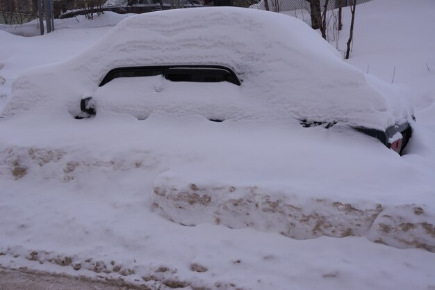 Auto coperte di neve bianca fresca, auto coperte di neve dopo una bufera di neve