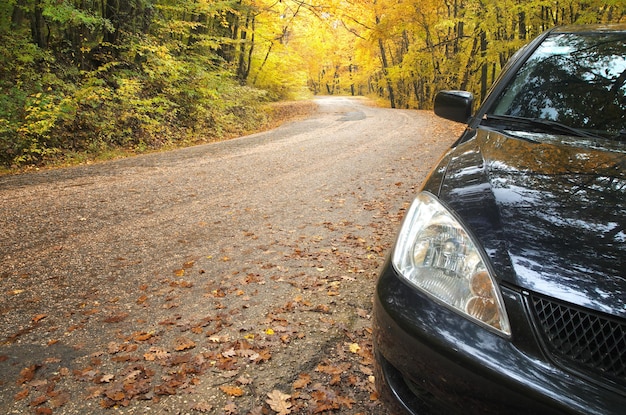 Auto e strada nella foresta d'autunno.