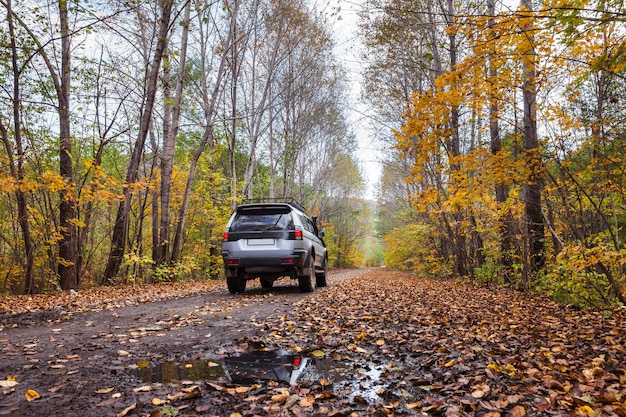 Auto fuoristrada su strada sterrata nella foresta autunnale