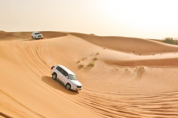 Auto in un deserto