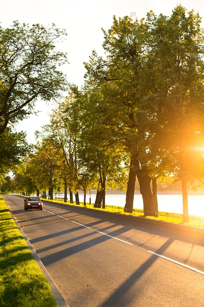 Auto moderne guidando o viaggiando su strada asfaltata nel parco al bel tramonto, lampione e fiume sullo sfondo