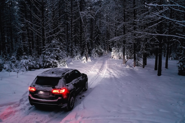 auto nella foresta invernale, viaggio paesaggistico nella foresta innevata di Natale