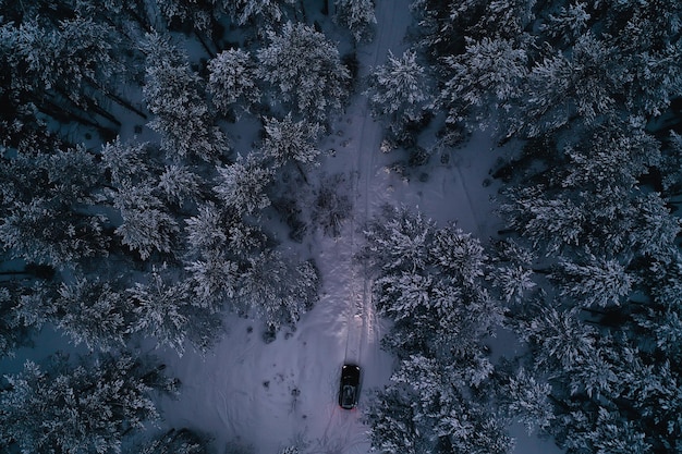 auto nella foresta serale in inverno, vista dall'alto, elicottero, foto aerodinamica, foresta invernale del paesaggio