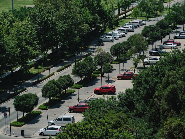 Auto parcheggiate vicino agli alberi verdi Foto