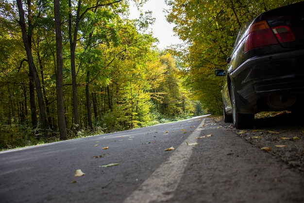 Auto sul ciglio della strada vicino alla strada forestale. Sfondo sfocato.