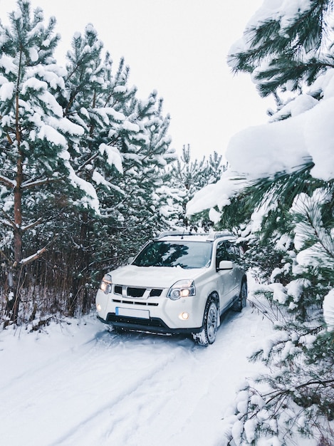 Auto Suv nello spazio della copia della foresta innevata