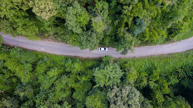 Automobile aerea di vista superiore che guida attraverso la foresta sulla strada campestre