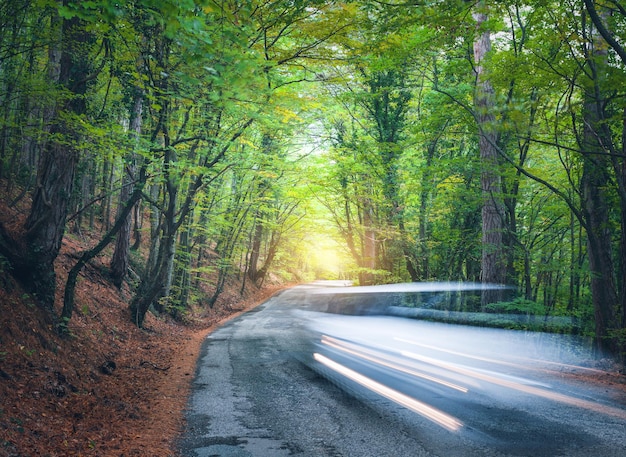 Automobile vaga che va strada di montagna nella foresta estiva al tramonto. Auto in movimento la sera. Bellissimo paesaggio con strada asfaltata, auto, foresta verde colorata e luce solare gialla. Sfondo di viaggio