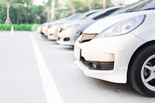 Automobili nel parcheggio al parco pubblico