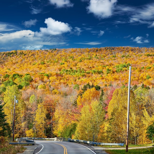 Autostrada al giorno d'autunno Maine USA