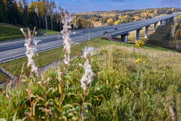 Autostrada con auto nella foresta autunnale. Vista dell'autostrada e del ponte con le automobili.