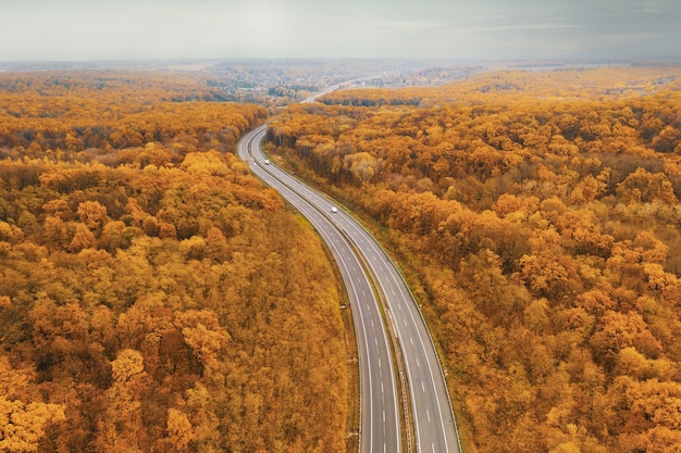 Autostrada curva di fronte all'orizzonte nella foresta autunnale gialla - una prospettiva atmosferica da