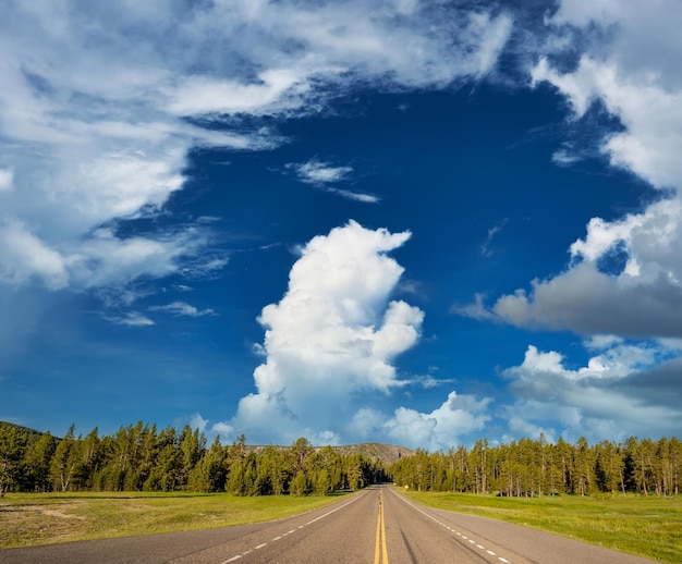 Autostrada nel Parco Nazionale di Yellowstone