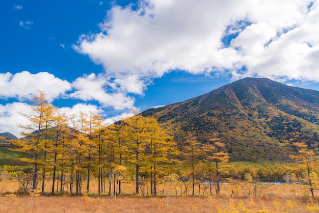 Autumn Fall Landscape Nikko Japan