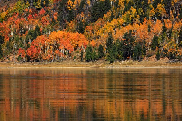 Autumn Reflections nel lago Utah Navajo