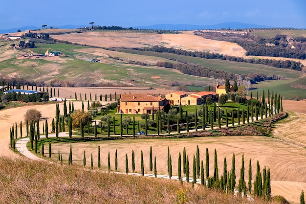 Autumn Valley, casa colonica e vicolo di cipressi. Autunno d'oro. Val d'Orcia. Siena. Toscana. Italia. Europa