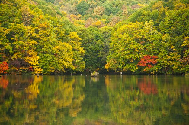 Autunno a Fukushima, in Giappone