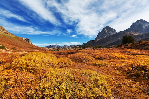 Autunno a Grand Teton