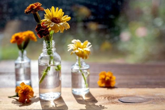 Autunno ancora in vita con fiori e foglie d'arancio Fiori d'arancio in vasi di vetro Concetto astratto di scena di autunno