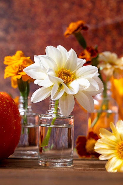 Autunno ancora in vita con zucche bianche di fiori Dahlia e foglie d'arancio Fiori freschi da giardino in vaso di vetro Concetto astratto di scena autunnale