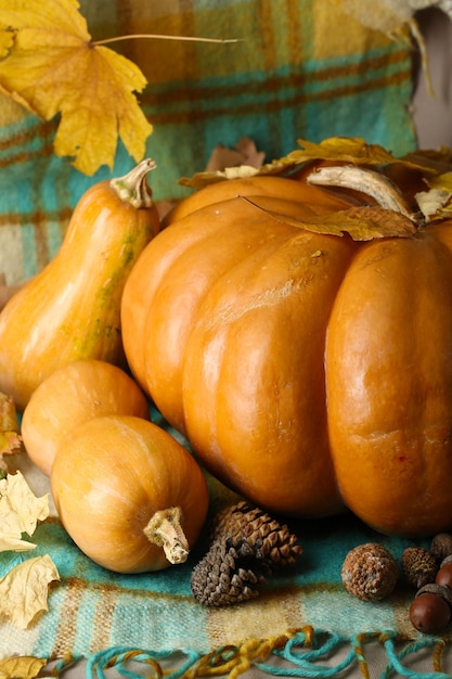 Autunno ancora in vita con zucche su sfondo di tessuto