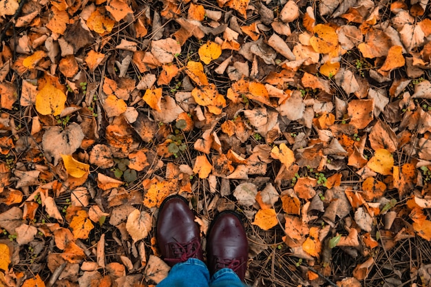 Autunno, autunno, foglie, gambe e scarpe. stivali gambe sulle foglie d'autunno. Piedi di scarpe che camminano nella natura