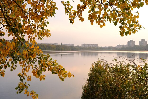 Autunno autunno nel parco con alberi di foglie gialle e lago