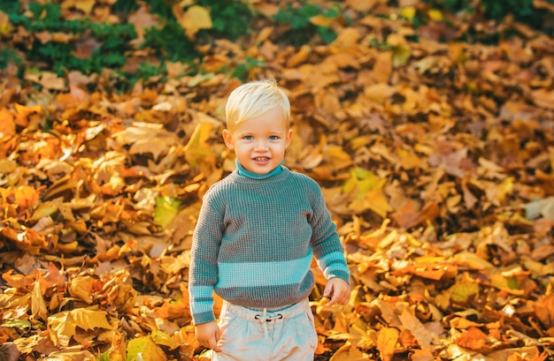 Autunno bambino carino bambino con foglie cadute in autunno parco carino bambino in giacca calda maglione sul
