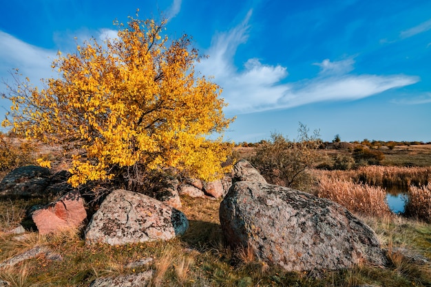 Autunno bella vegetazione ingiallita e pietre grigie ricoperte di licheni multicolori e muschi nella natura delle colline e pittoresca Ucraina