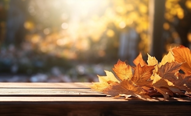 Autunno bokeh sfondo albero legno soleggiato parco naturale autunno stagionale foglie di legno gialle