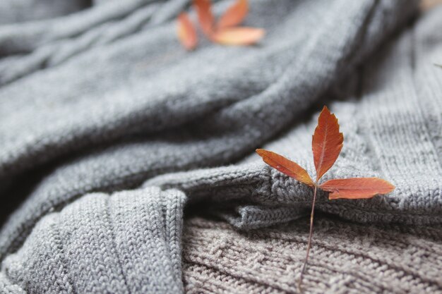 Autunno caldo accogliente sfondo di casa. Maglioni invernali in maglia minimalista e foglie di autunno arancione