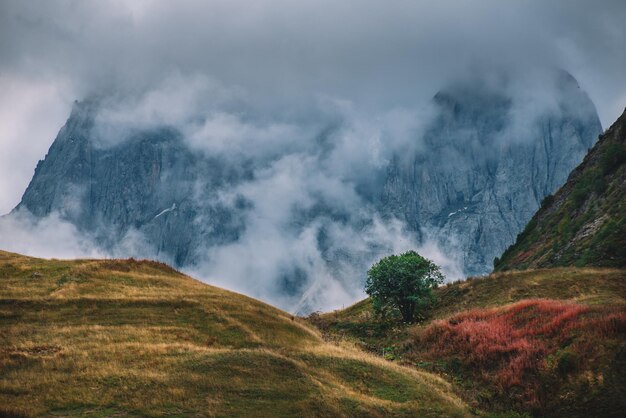 Autunno colorato in montagna