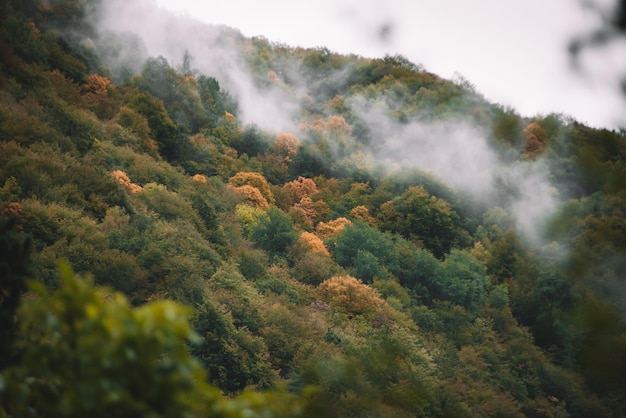 Autunno colorato nelle montagne nebbiose