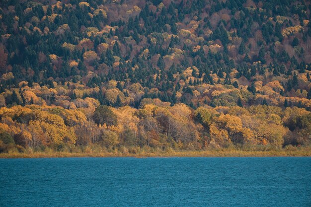 Autunno colorato