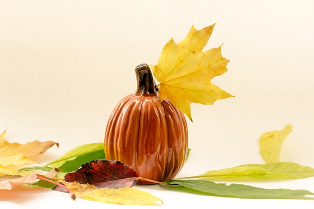 autunno composizione zucca e fogliame autunnale su bianco