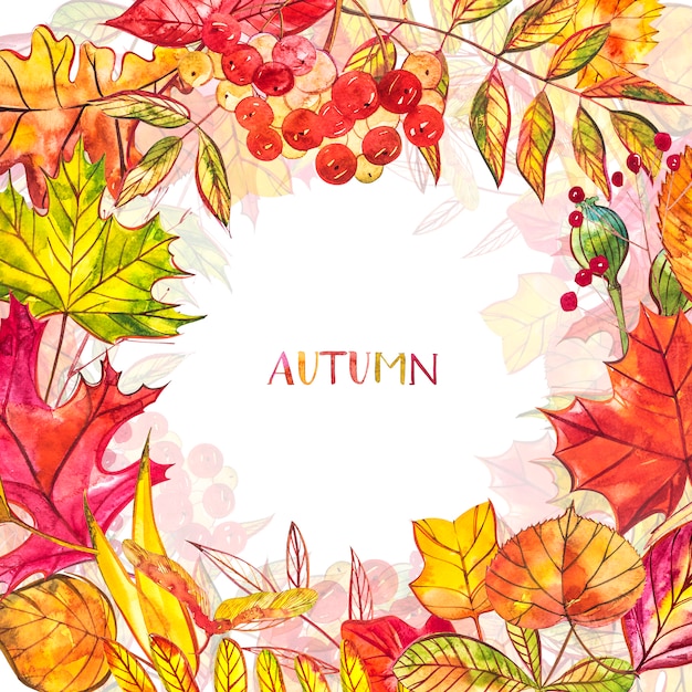 Autunno con foglie dorate e rosse con bacche. Illustrazione ad acquerello