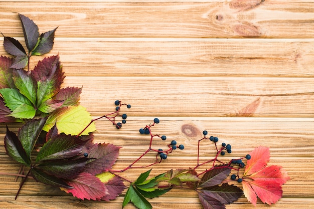 Autunno con uva selvatica su un tavolo di legno