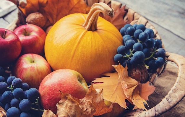 Autunno con zucca. Giorno del Ringraziamento.