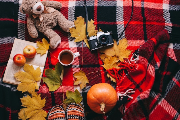 autunno concetto. foglie e libro