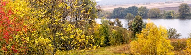 Autunno dorato. Alberi colorati in riva al fiume in autunno, panorama