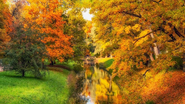 Autunno dorato nel Parco di Caterina Tsarskoye Selo Vecchio parco cittadino con luminosi aceri dorati autunnali in una giornata di sole Vista panoramica