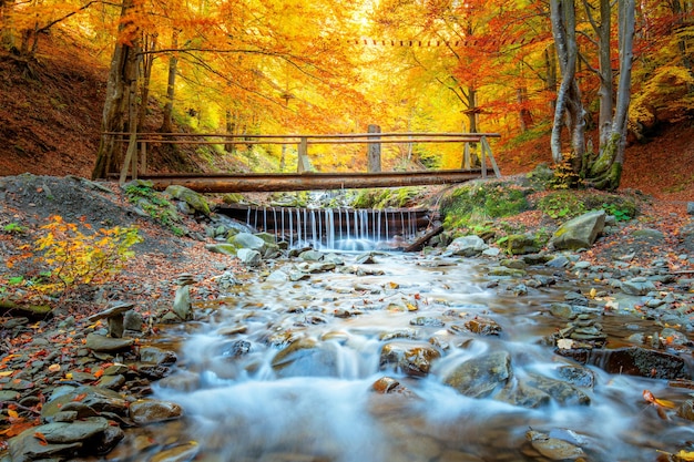 Autunno dorato nel parco naturale colorato alberi forestali piccolo ponte di legno e fiume veloce con pietre caduta paesaggio