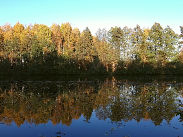 Autunno dorato sul lago in Russia Mosca in una riserva forestale