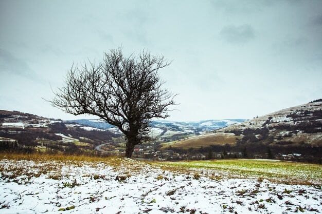 Autunno e inverno