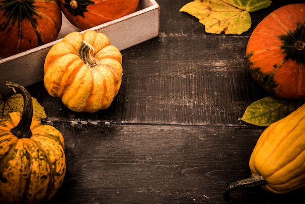 Autunno e stagione autunnale. Raccogli la cornucopia e il concetto del giorno del ringraziamento con frutta e verdura.