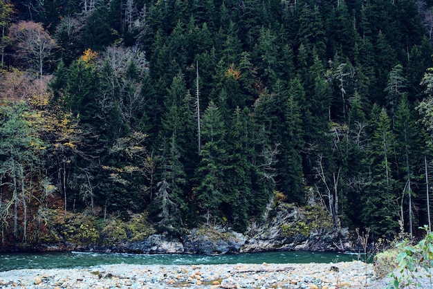 Autunno foresta alberi montagne fiume paesaggio natura