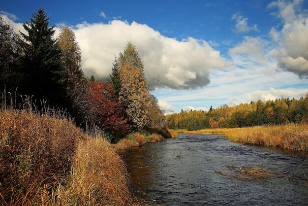 Autunno foresta paesaggio fiume incredibile sfondo autunnale