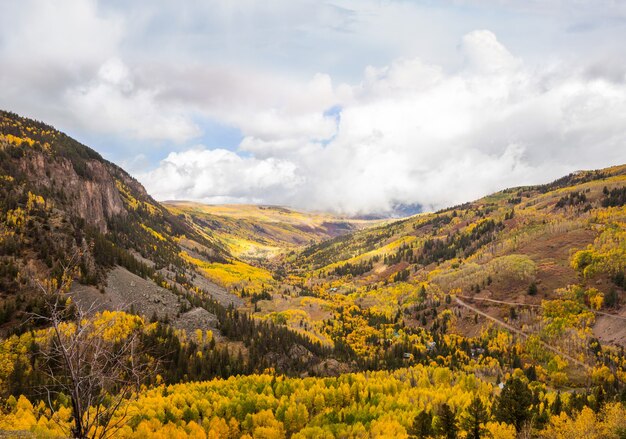 Autunno giallo colorato in Colorado, Stati Uniti. Stagione autunnale.